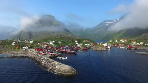 Latanie z mewy na Lofotach w Norwegii. — Wideo stockowe