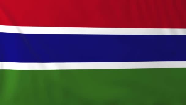 Vlag van Gambia — Stockvideo