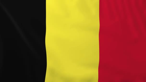 Bandera de Belgium — Vídeo de stock