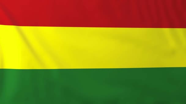 Vlag van bolivia — Stockvideo