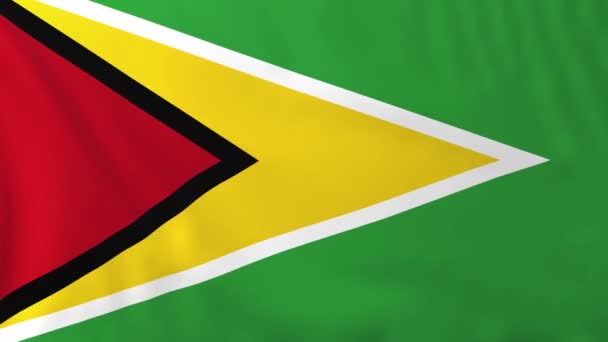 Guyanas flagg — Stockvideo