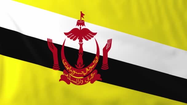 Brunei bayrağı — Stok video