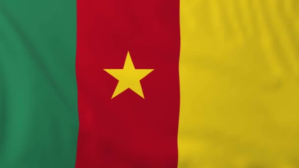 Flag of Cameroon — Stockvideo