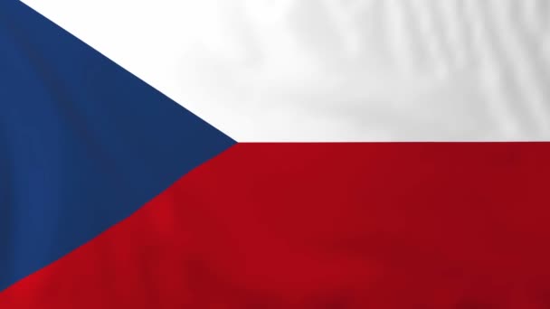 Tjeckiska republikens flagga — Stockvideo