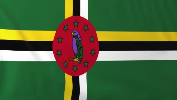Bandera de dominica — Vídeo de stock