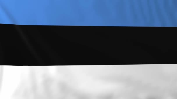 Flag of Estonia — Stock Video