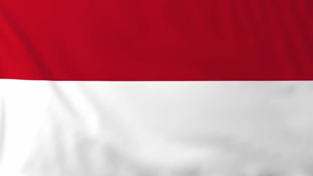 Indonesiens flagga — Stockvideo
