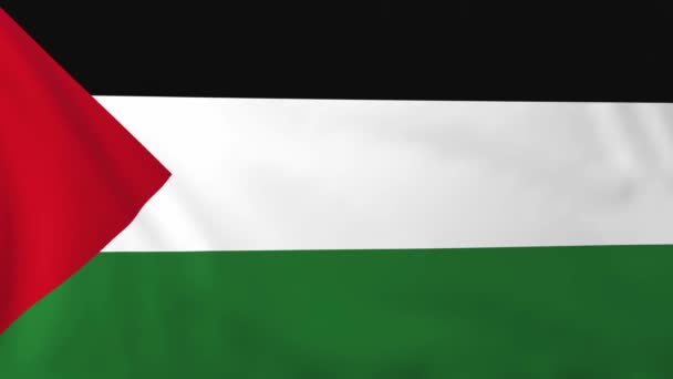 Vlag van Palestina — Stockvideo