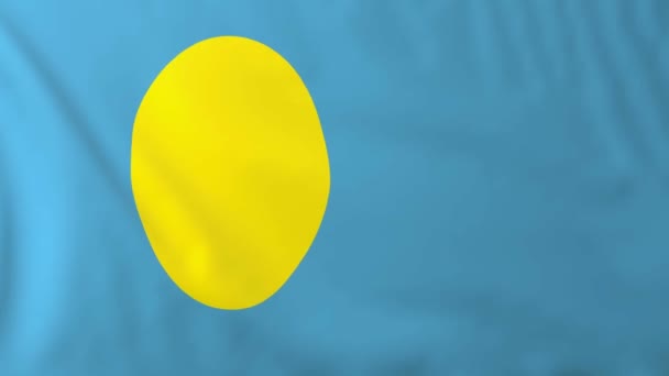 Vlag van palau — Stockvideo