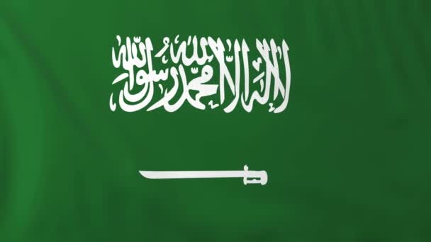 Vlag van Saudi-Arabië — Stockvideo