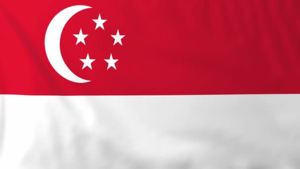Vlag van Singapore — Stockvideo