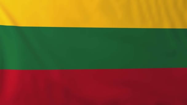 Bandera de lithuania — Vídeo de stock