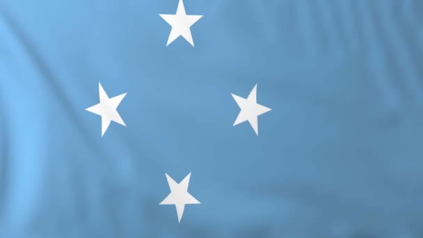 Mikronézia zászlaja — Stock videók