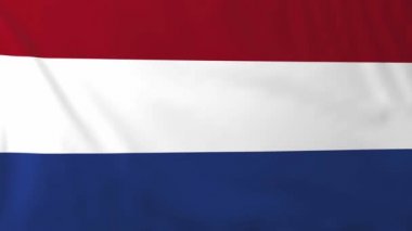 Hollanda bayrağı