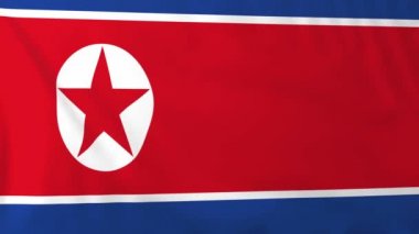 Kuzey Kore bayrağı