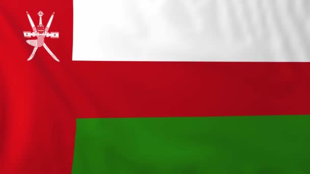Flagge Omans — Stockvideo