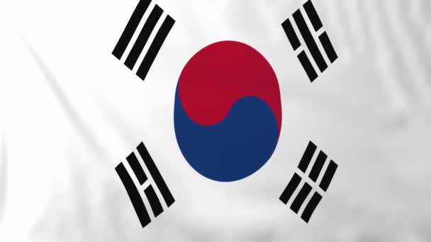 Bandera de Corea del Sur — Vídeo de stock