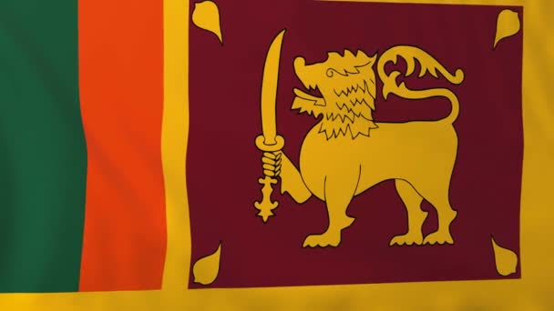 斯里兰卡的旗子 — 图库视频影像