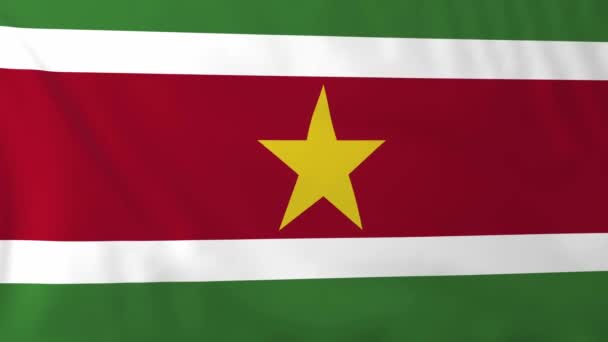 Drapeau du Suriname 