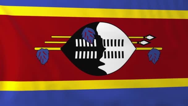 スワジランドの国旗 — ストック動画