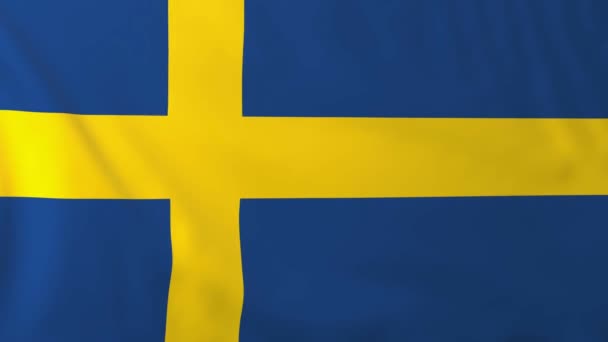 瑞典的国旗 — 图库视频影像