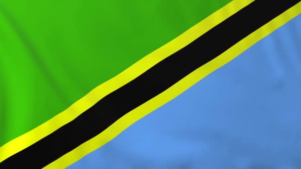 坦桑尼亚的旗子 — 图库视频影像