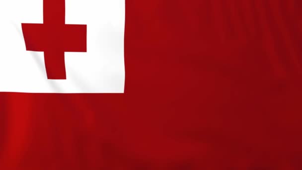 Vlag van tonga — Stockvideo