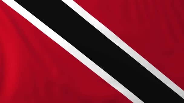 Flagge von Trinidad und Tobago — Stockvideo