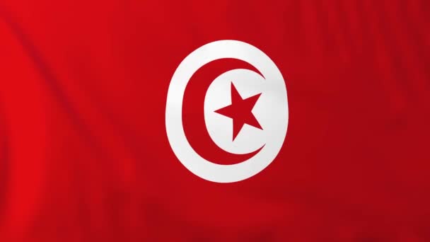 Flagga Tunisien — Stockvideo