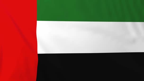 Bandeira dos Emirados Árabes Unidos — Vídeo de Stock