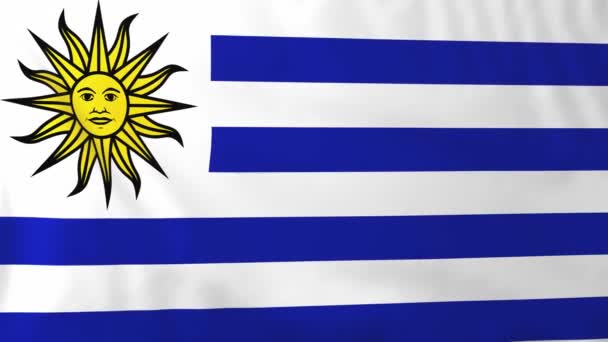 Vlajka Uruguaye — Stock video