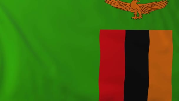 Flagga zambia — Stockvideo