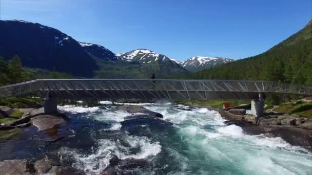 Dívka na mostě pozoruje vodopád — Stock video