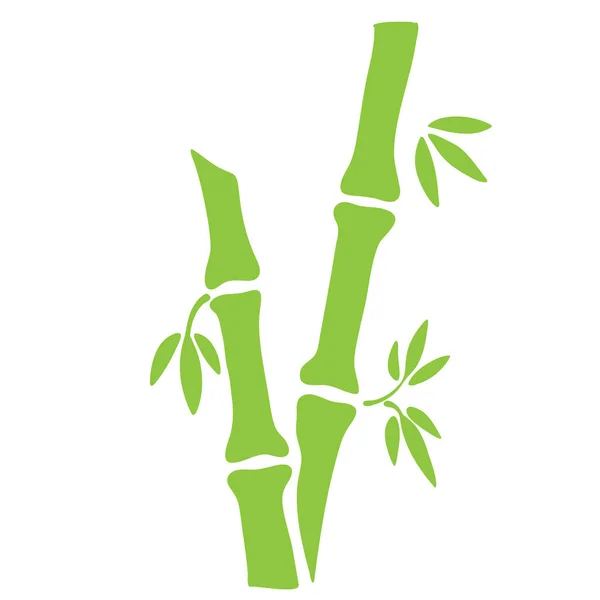 Grünes Handgezeichnetes Element Aus Bambus Für Kartendesign Auf Weiß Vektor — Stockvektor