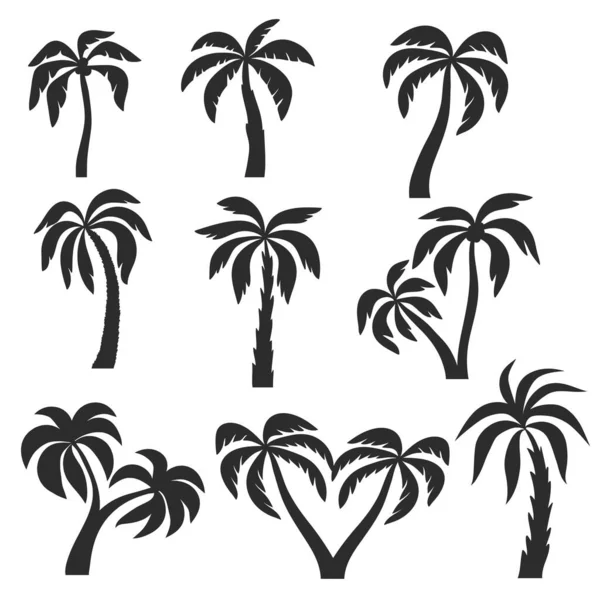 Set Van Verschillende Palm Pictogram Geïsoleerd Wit Voorraad Vector Illustratie — Stockvector