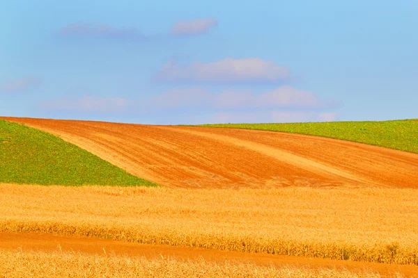 Vyčištěné farmář pole pozadí. — Stock fotografie