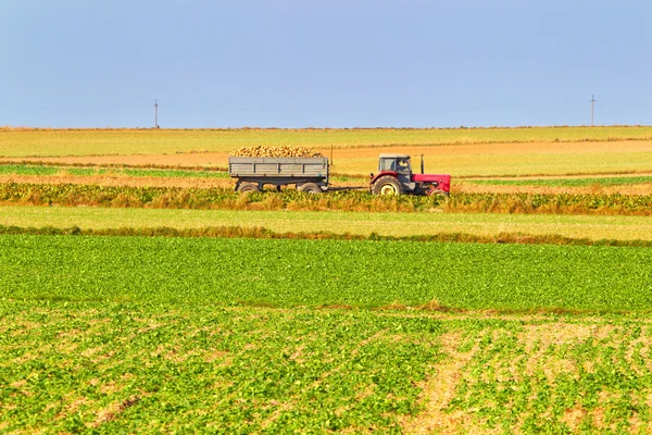 Трактор на фермерском сельскохозяйственном поле — стоковое фото