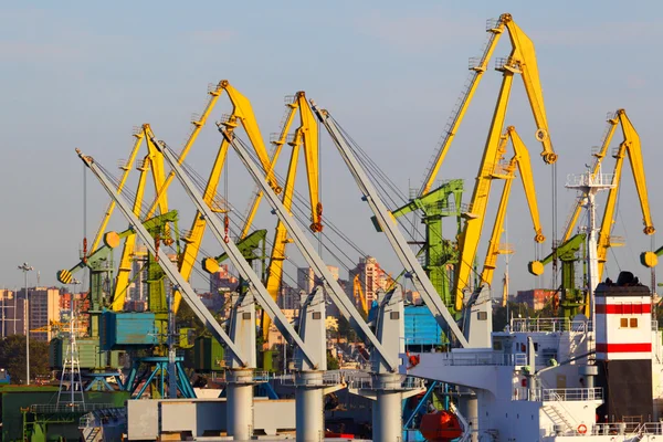 Endüstriyel bağlantı noktası Vinçler yükleri limanda unloadings üzerinde. — Stok fotoğraf