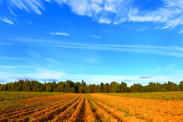 Boer veld met het geploegd veld in plattelandsgebieden. — Stockfoto