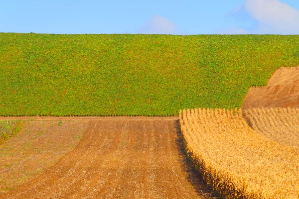 Antecedentes del campo agricultor.Paisaje rural . —  Fotos de Stock