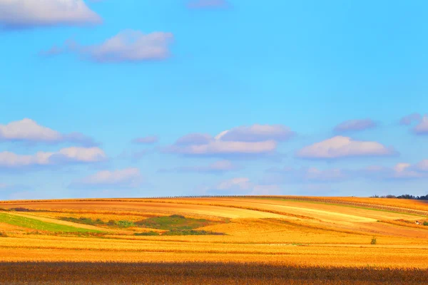 Fältet bonde med blå himmel bakgrund. — Stockfoto