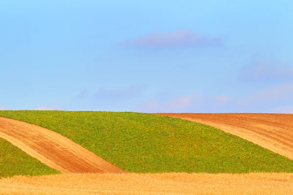 Fundo do campo de agricultores — Fotografia de Stock