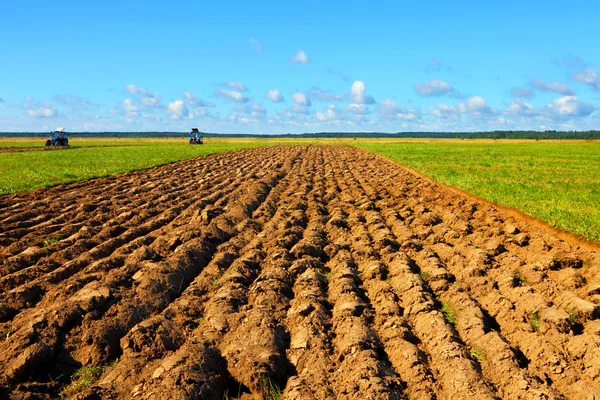 Campo del agricultor — Foto de Stock