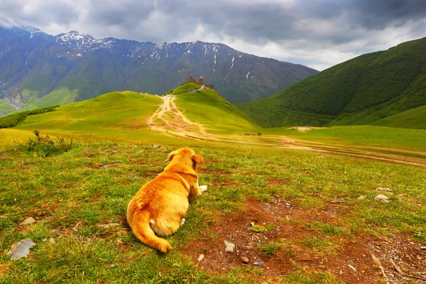 Georgien. kazbegi.gergeti 's Kirche in stepantsminda. Kaukasus. — Stockfoto