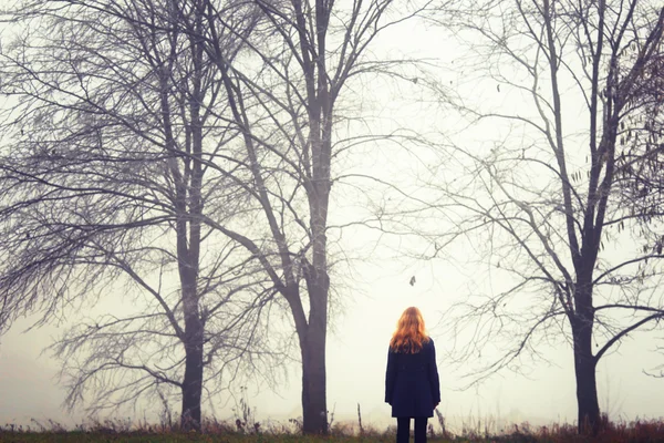 A lone figure walking girl in the fairy forest — Stock Photo, Image