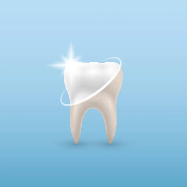 Concepto Diente Saludable Examen Dental Salud Higiene Dental — Vector de stock