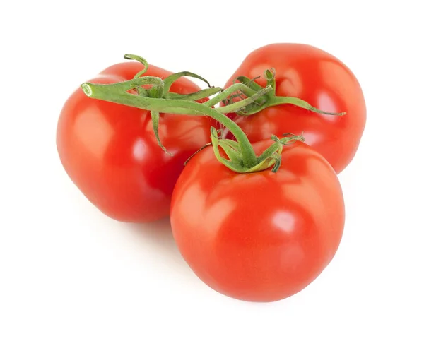 Tomates Vermelhos Maduros Sobre Fundo Branco — Fotografia de Stock