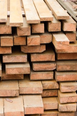 Yönetim Kurulu odun yığınları içinde.