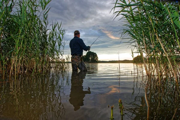 Pescatore Cattura Pesce Nel Lago Durante Giornata Nuvolosa — Foto Stock