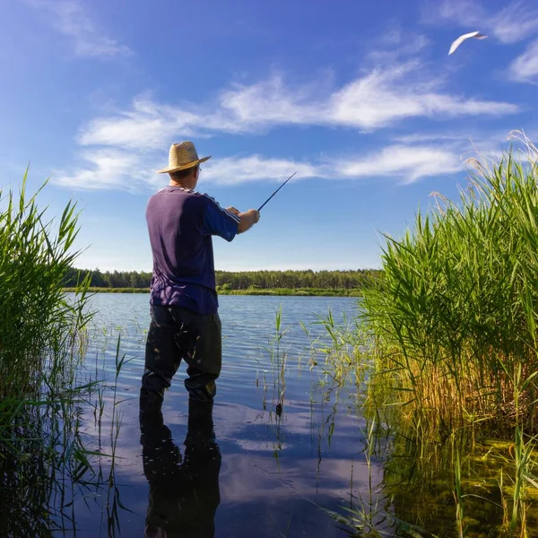 Pescatore Cattura Del Pesce Nel Lago Durante Giornata Estiva — Foto Stock